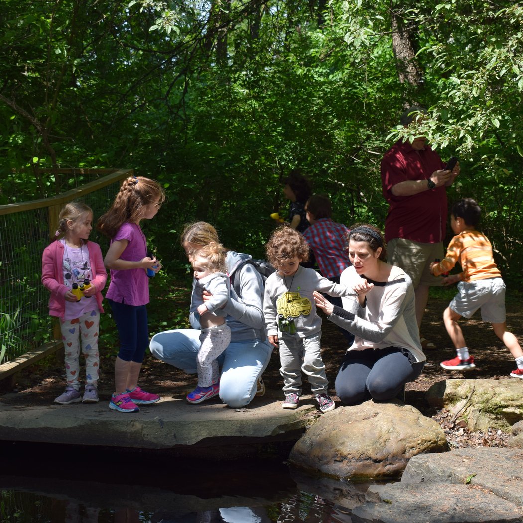 Micro Hike - Popsicle Program 1